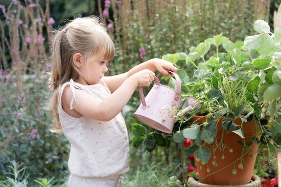 Little Dutch Water Can Fairy Garden FSC 9106